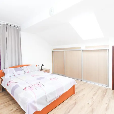 Dragicevic 奥帕提亚