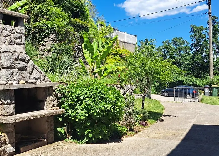 Dragicevic 奥帕提亚