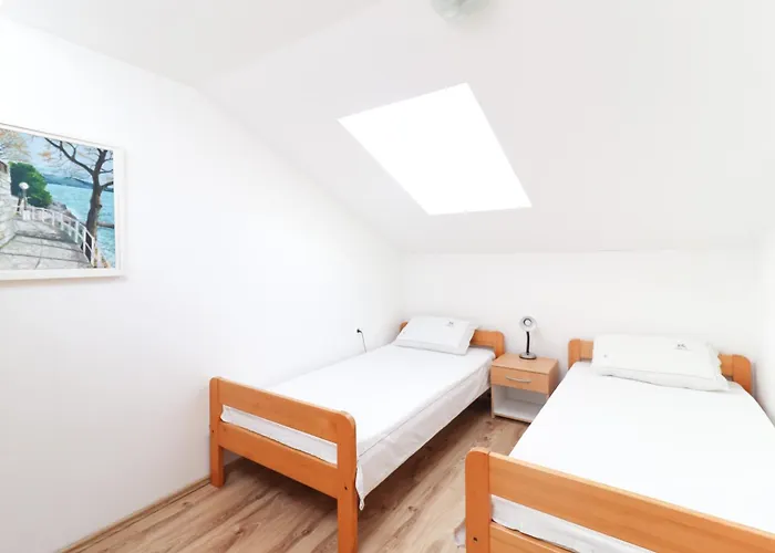 Dragicevic * 奥帕提亚